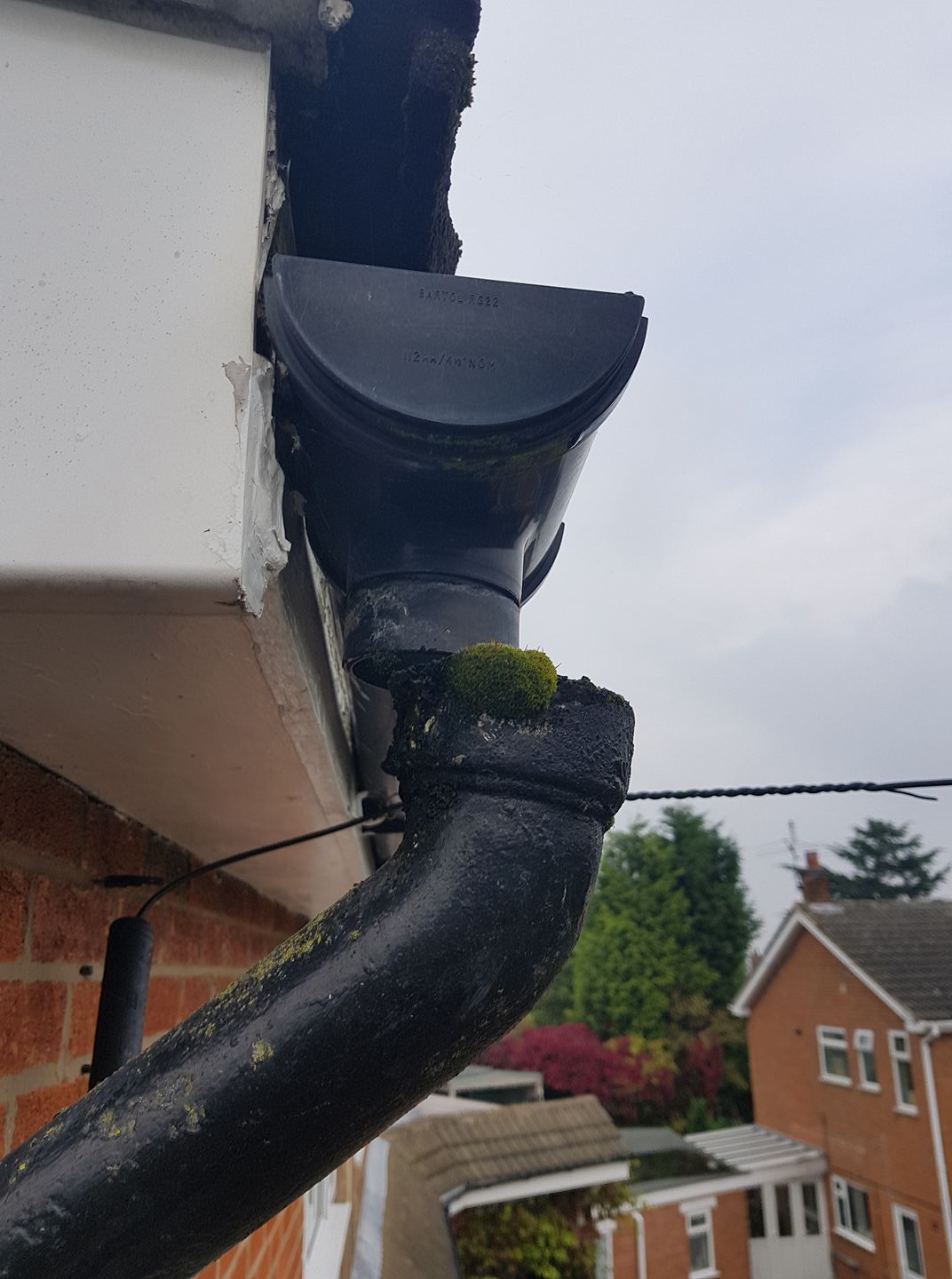 23119940_904051339746622_5798641368057821427_o